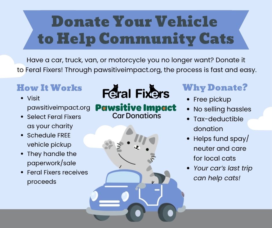 Pawsitive Impact Web Flyer
