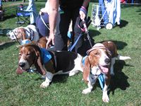 2009 Barkpalooza